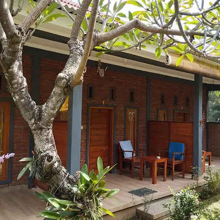 Tunjung Guest House Lovina Beach